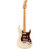 Stratocaster Player Plus MN Olympic Pearl