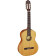 R131 Family Pro series guitare classique avec housse