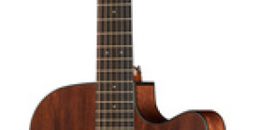 Vente Ibanez AW5412CE-OPN Artwood