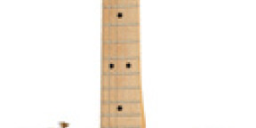 Vente Fender Player Series Tele MN