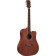 Duo D200ce Dreadnought Natural