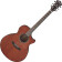 Ibanez AE440 Platinum Collection Natural Low Gloss guitare lectro-acoustique folk avec tui