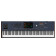 Pa5X 88 Musikant - Clavier