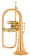 YFH-8310 ZG 02 Flugelhorn