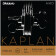 Kaplan Amo KA310 4/4 Medium jeu de cordes pour violon