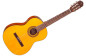 GC3-NAT Takamine