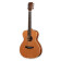 M-14 - Guitare Acoustique