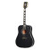 Hummingbird Custom Ebony - Guitare Acoustique