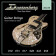 DSA10 10-50 Guitar Strings Nickel Wound - Cordes pour Guitare Électrique