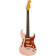 Stratocaster American Professional II RW Transparent Shell Pink