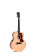 SIGMA GUITARS GJME Guitare lectro-acoustique