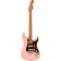 Player Stratocaster HSS Shell Pink Roasted Maple Neck Limited Edition guitare électrique avec housse