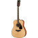 FG820-12 NT II guitare acoustique folk 12 cordes