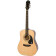 Songmaker DR-100 acoustic steel-string guitar, natural