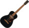 Jim dandy deltoluxe parlor - black top semi gloss