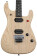 EVH Limited Edition 5150 Series Deluxe Ash - Guitare lectrique