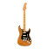 American Professional II Stratocaster MN Roasted Pine