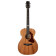 Fairmount Composer QIT - Guitare Acoustique