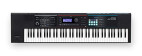 Roland Synthtiseur JUNO-DS76 Un synth 76 touches lger, produisant des sons dexcellence et facile  manipuler, pour les groupes qui cherchent  tendre leur palette sonore. BLK