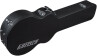 G2655t guitar case