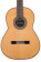 C9 Parlor, 7/8 size Nylon String Acoustic Guitar - Cedar