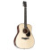 FG 9M - Guitare Acoustique