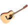 CD-60SCE Dreadnought 12 String WN Natural