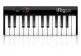 Irig keys 25