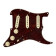 Pickguard Strat Tex-Mex - S/S/S/S - Tortoise Strat Tex-Mex - S/S/S