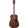 PF14JR-OPN Open Pore Natural guitare folk avec housse