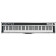 PK88 - 88 GH clavier USB Midi. Alimentation incl. (88 touches) - Clavier Maître