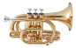 JTR 710 Trompette de poche vernie