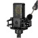 Lewitt LCT 440 Pure XLR Microphone  condensateur pour Voix, Chant, Enregistrement d'instruments et Streaming