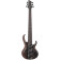 Bass Workshop BTB806MS-TGF