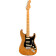 American Professional II Stratocaster Roasted Pine MN guitare électrique avec étui