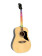 EKO GUITARS - RANGER NAT VISUAL NOTE, Guitare acoustique Dreadnought "Visual Note", Top en pica, Bandes et fond en Linden, Feuille LED "Visual Note" qui s'interface avec l'application ddie