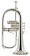 YFH-8310 ZGS 02 Flugelhorn