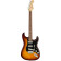 Player Stratocaster Plus Top PF Tobacco Sunburst - Guitare Électrique