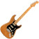 American Professional II Stratocaster Roasted Pine MN