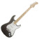 Eric Clapton Stratocaster Pewter