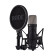 NT1 Studio Condenser Mic 5th Generation (Black) - Microphone à condensateur à grand diaphragme