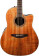 Guitares folk - Ovation CS24P-FKOA Celebrity Std. Plus Flamed Koa