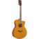 FSC-TA Vintage Tint TransAcoustic guitare électro-acoustique