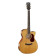 cort guitare folk GOLDOC6BNAT