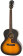Epiphone EL-00 PRO Guitare lectro-acoustique avec Micro Fishman SoniTone Vintage Sunburst