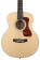 Guild Guitars Guitare acoustique Jumbo Jr Flame Maple - Blond antique, Archback Solid Top, Westerly Collection