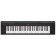 Yamaha Piaggero NP-12 piano portable avec 61 touches dynamiques  Avec un son riche et puissant  Pour amateurs & tudiants  Mmoire d'enregistrement intgre  Noir