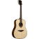 Tramontane 318 T318D guitare acoustique folk