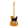 American Professional II Telecaster MN Roasted Pine