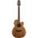 GN20CE-NS Electro-Acoustic Steel-String Guitar